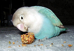 ����A�ǁ[���Ă���Ȃɂ��������́H�H�H