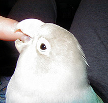 �w�o������ꖂ����Ⴄ���`