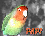 ���A�ӂ�����񂾁I�͂�`�I