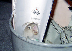 �₾�₾�`�I��������ӂ��A�����ŐQ�那�`�`�`�I