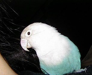 �܂܂̂ˁA���̖т��ˁA���カ�Ȃ́B