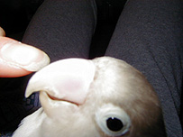 �K�W�K�W����������������Ȃ��E�E�E