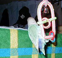 �������낢�񂾂��ǂ��A�K�W�K�W�ɂ͌����ĂȂ��݂����˂��B