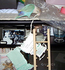 �ق���A�؂�Ȃ��ł����ƕt���ė��Ă˂��I