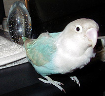 �����A������ݎ~�܂������B���肪�Ƃˁ�