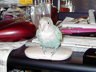 ���������A���Ȃ�������E�E�E�܂܁A���C�o���Ă���I