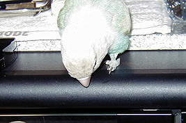 ���̒��A�����������́H�H