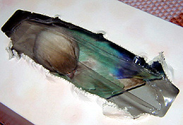 �������A���������̂�ˁ`��