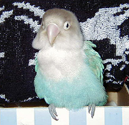 ���͂�`�A�������͑��N������I�܂܂��N���ā`���I