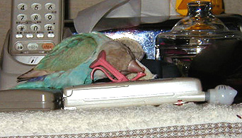 ����`�A�������́`��