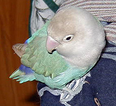 �܂�����ƁA���[��[�Ƃ��̓C�C�̂�ˁ`��