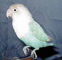 ������ׂ�A���傤���Ȃ񂾂�`�I