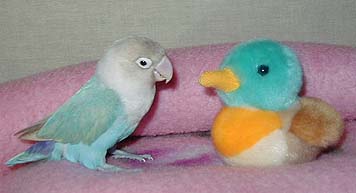 �˂˂ˁA���Ђ邿�����v���|�[�Y���ā`��