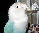 ������ƃh�L�h�L�����ǁA���̒�����ɂ����������ȁ`��