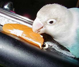 �݂���͂��������񂾂��ǂˁ`�I