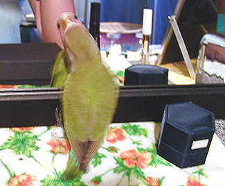 �N���ʂ��Ă�̂��`�`�`