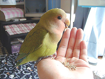 ���сA������������I