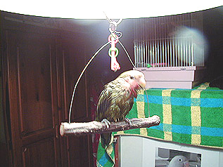 �����т�����I