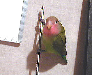 �������낢�Ƃ��A������������I