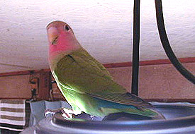 �����Ƃ�����ԁA�o��������I