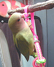 ������t���Ă������������I