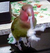 ������I�������₾��`�I