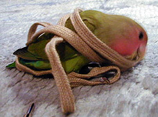 ���̊��ݐS�n�����܂�Ȃ��̂��`�I