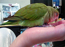 �˂��`�A�Ȃ�ō����͂���Ȃɑ����̂��`�H