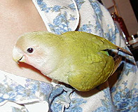 �܂܂��`�A�ǂ��s���Ă��񂾂悧�`