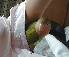 �܂܂̒����āA�����������񂾂�[