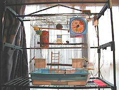 �Ȃ��Ȃ��A����������