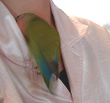 ������܂��܂��`������