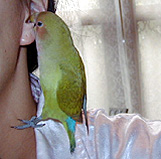 ������`�Iꖂ����Ⴄ�񂾂���`�I