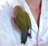 �Ȃ�ł��悧�`�I