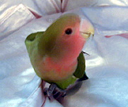 �܂܂��`�A�������s���Ă����[���H