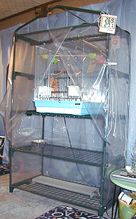 �ڂ��̐V�����n�E�X�����