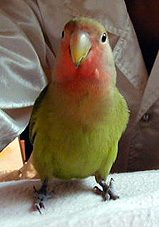 �ڂ����܂܂����񂾂����I