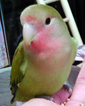 ����Ȃɂ������别�����Ȃ��H�H�H