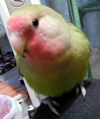 �܂��A�Ԃ��Ԃ��Ȃ񂾂�[�B