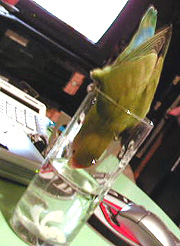 ���[��A�������������[���I