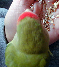 �����������F�A�킩�那�`�H