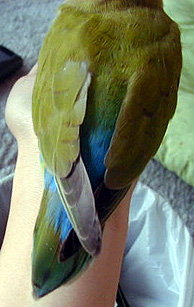 �܂܁A�S�z���Ȃ����Ă����v������I