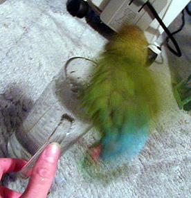 ���ꂥ�`�I�I���������C�B�`�I