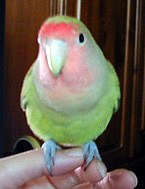 �ււցA��������ǂ��Ȃ����ł���H�H�H