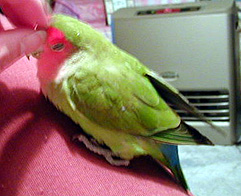 �����`�B�B�B�C�������`�B�B�B