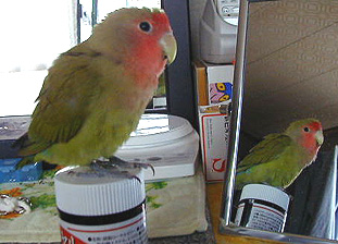 �����ς��H�ׂāA�傫���Ȃ�񂾂����