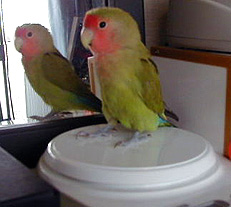 �̏d������A�����Əo����񂾂�`�I