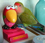 �ڂ��̔ޏ��E�E�E�H�H�H