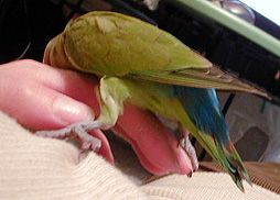 ��[��[�E�E�E���������������������E�E�E�E�E