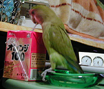 �ڂ����W���[�X���݂����񂾂悧�`